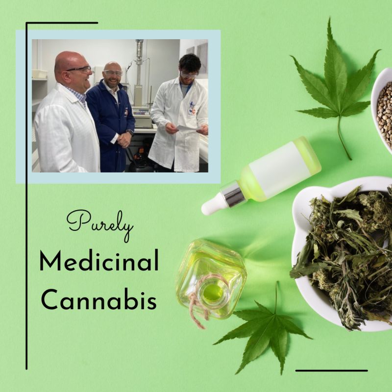 Medicinal Cannabis and Hemp Synthesis